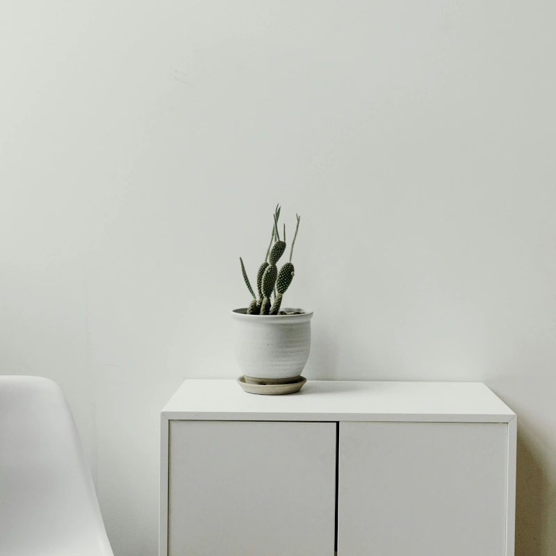Sideboard-Moebel-vom-Schreiner-WERDER-Thurgau