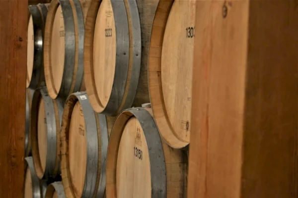 WERDER_Schreinerei_Event_Apero_WeinHolz